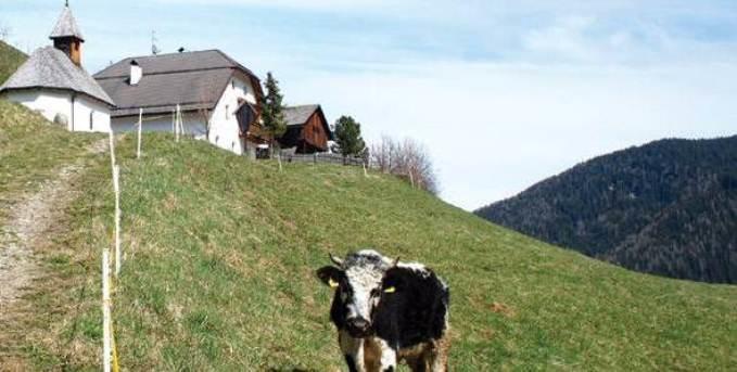Berggasthof Trattes Olang Luaran gambar